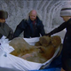 Image for article titled 10,000 Year Old Frozen Mammoth Found Perfectly Preserved in Siberia